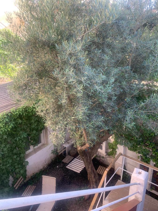 Estupenda Suite Con Entrada Independiente Cerca A Ifema Y Barajas Madrid Buitenkant foto
